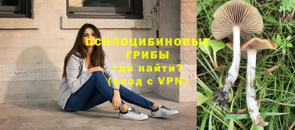 сатива Михайлов