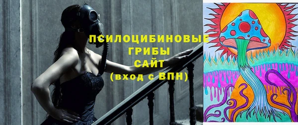 гидропоника Михайловск