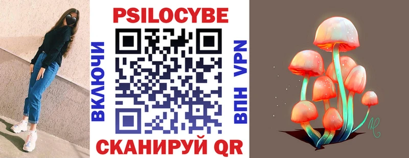 Псилоцибиновые грибы Psilocybine cubensis Черноголовка