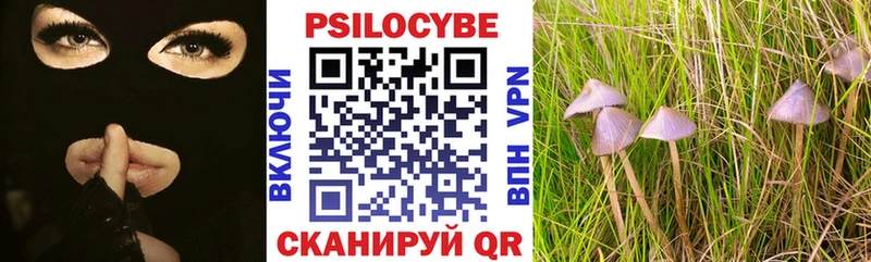 Галлюциногенные грибы MAGIC MUSHROOMS  Черноголовка 