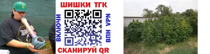 Бошки Шишки VHQ  Черноголовка 